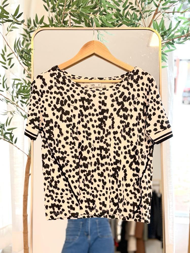 WhatsApp Image 2026-01-05 at 11.24.29.jpeg