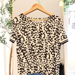 WhatsApp Image 2026-01-05 at 11.24.29.jpeg