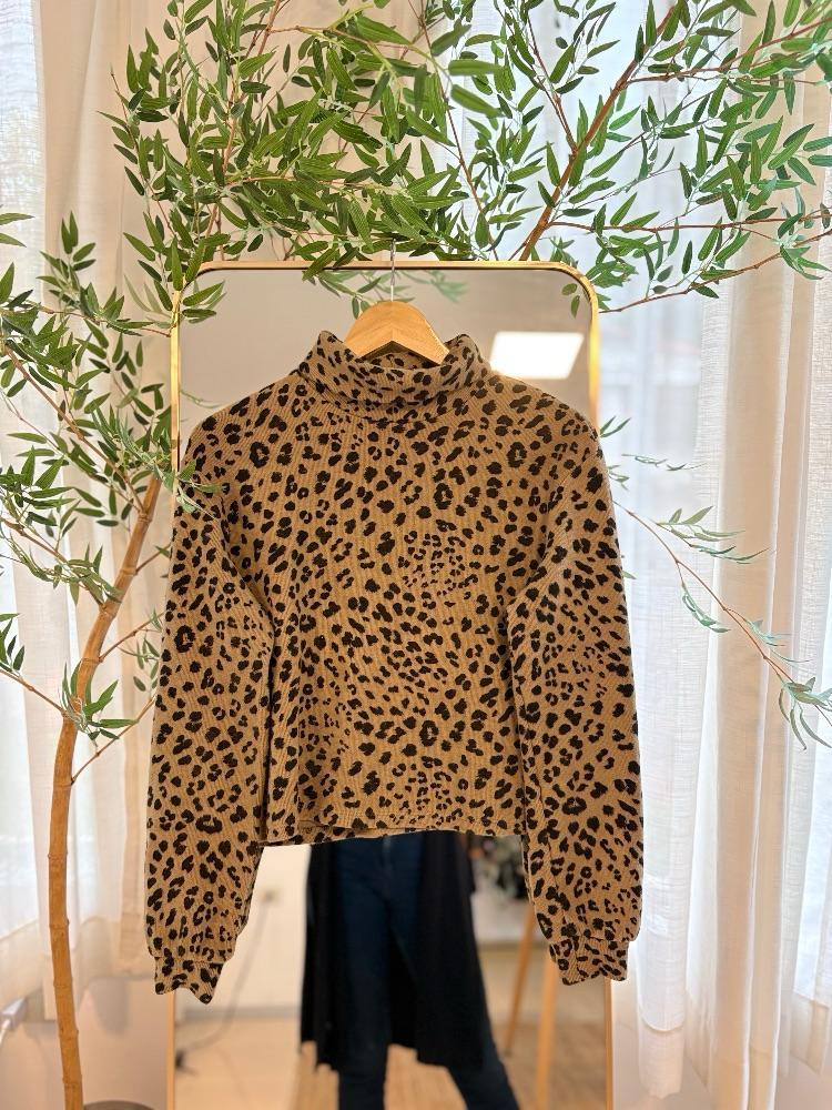 WhatsApp Image 2025-10-23 at 16.42.25.jpeg